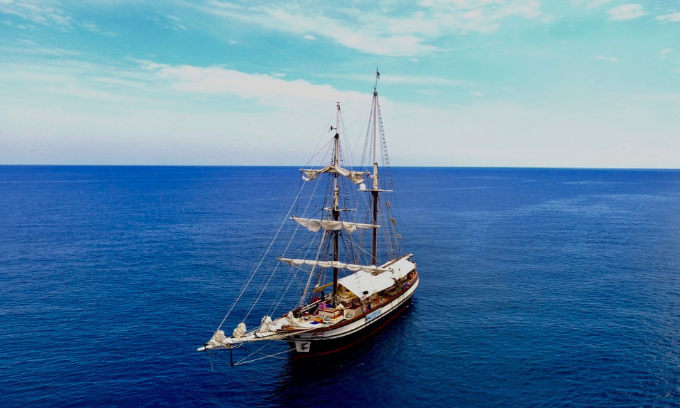 Brigantine Brigantine Florette Karibik Segelschiff Florette Törn Aktiv Urlaub