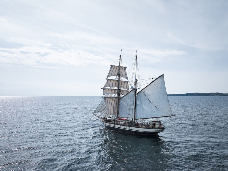 Sailing Tours